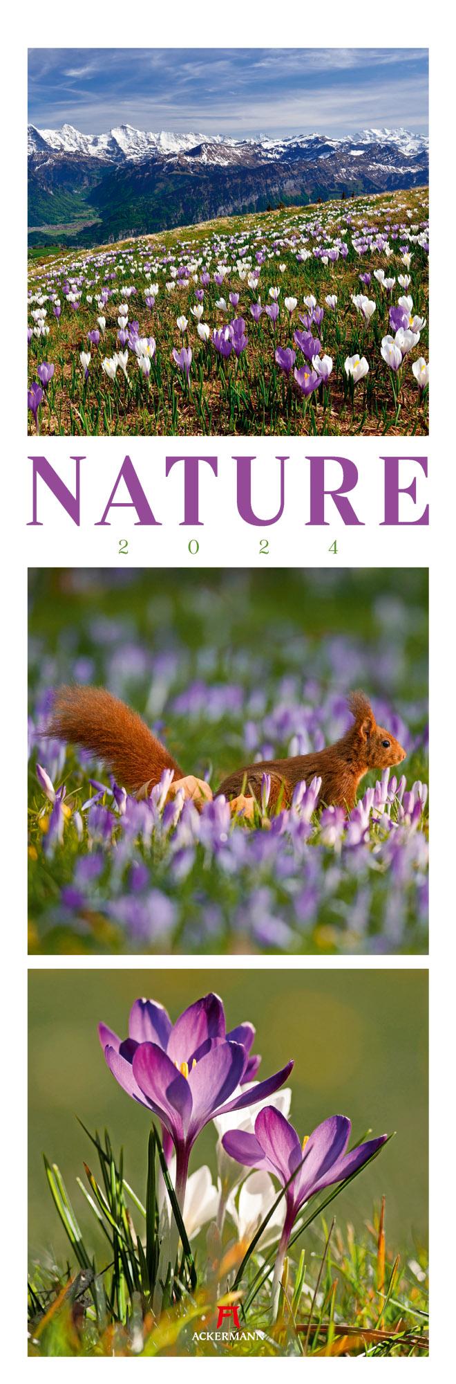 Nature Triplet-Kalender 2024 Maße (B/H): 33 x 100 cm, Fotokalender, Dt/engl/frz