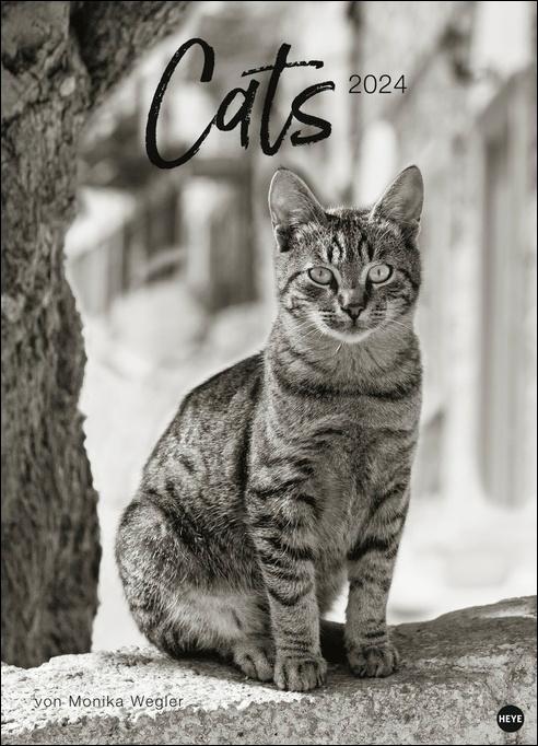 Monika Wegler: Cats Edition 2024. Elegante Samtpfoten in schwarz-weiß in einem XXL-Kalender. Tierkalender 2024 im Großformat. Hochwertiger großer Fotokalender für Katzenfans. Maße (B/H): 49 x 68 cm, Fotokalender, schwarz/weiss