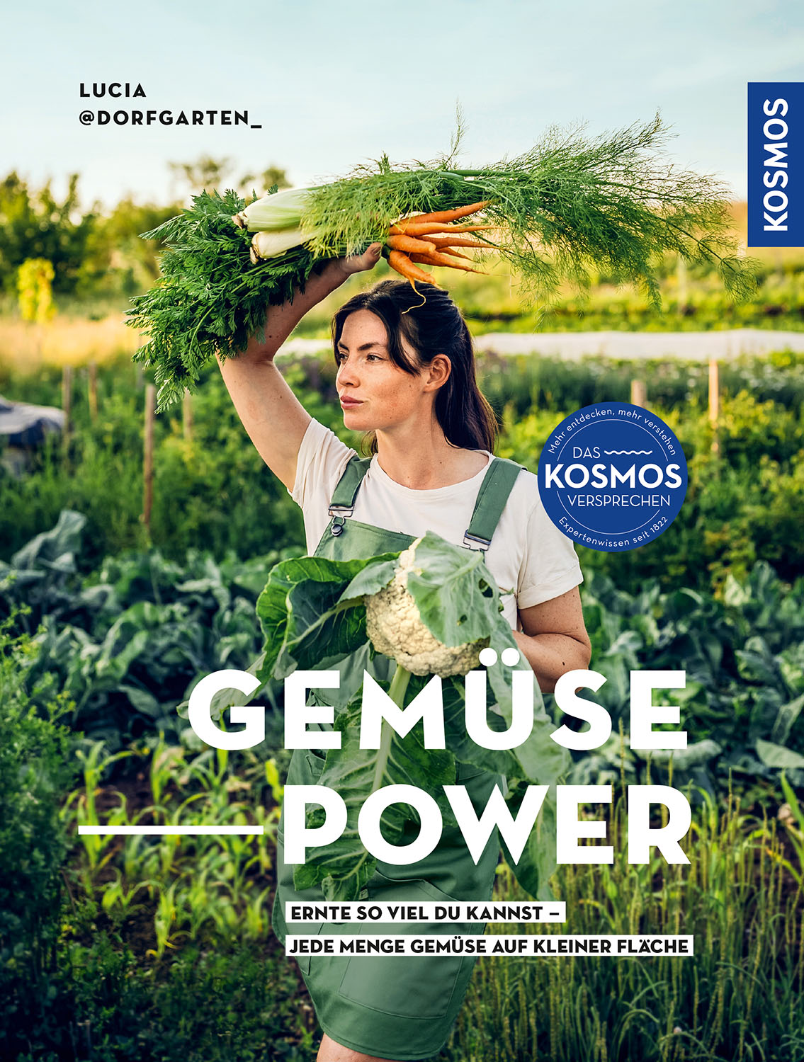 Gemüsepower Ernte so viel du kannst - jede Menge Gemüse auf kleiner Fläche. Prinzip Market Garden: ressourcenschonend & biointensiv auf kleiner Fläche. Fair, effizient & saisonal in deinem Garten., Lucia@Dorfgarten